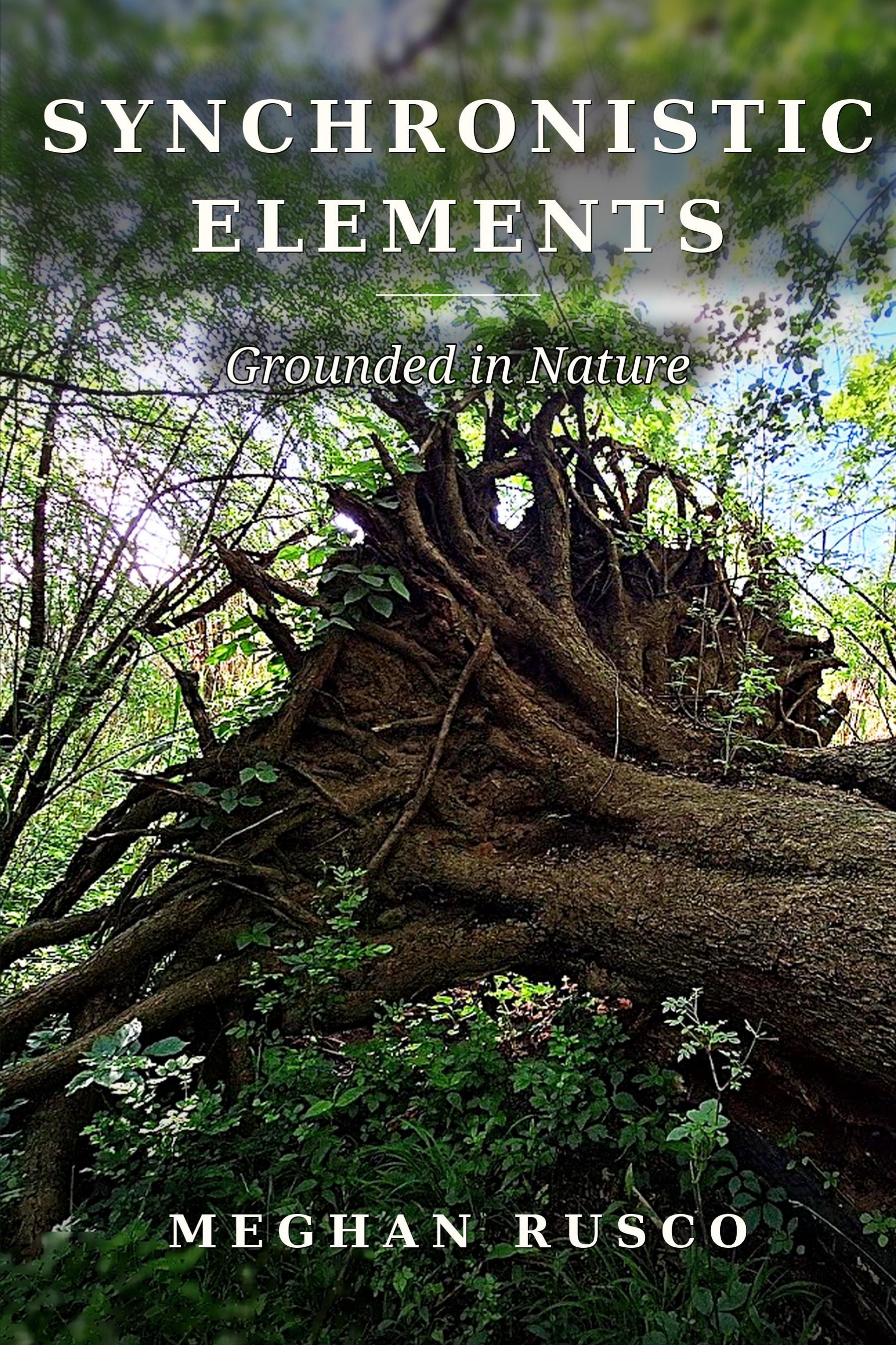 Cover of Synchronistic Elements: Grounded in Nature by Meghan Rusco — an uprooted tree in the forest